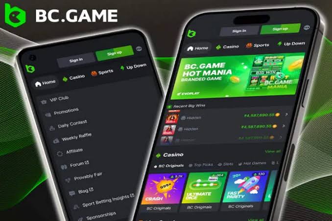 The Fascinating World of Mirror Site Hash Games in India 822272005